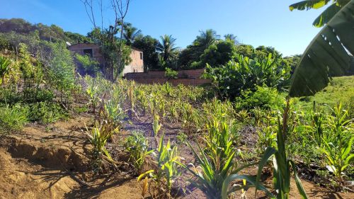 Terreno em Iriri Anchieta Espírito Santo
