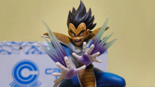 Vegeta Dragon Ball Z