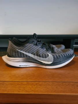 Nike Pegasus Turbo 2 (n°41)