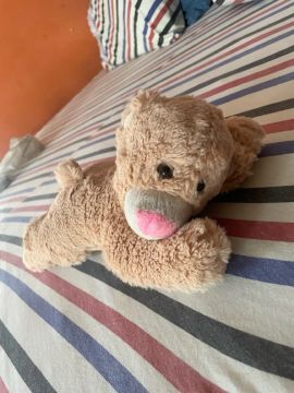 Urso de Pelúcia 
