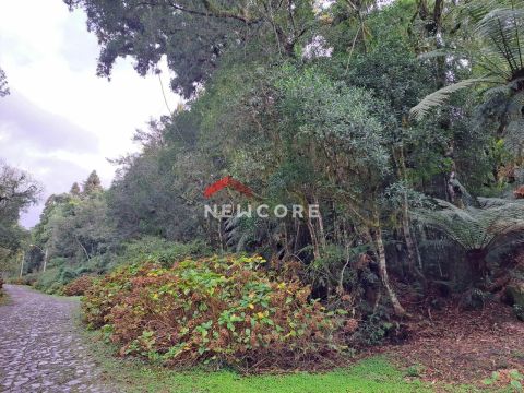 Lote em rua 3 - Alpes - São Francisco de Paula/RS