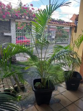 VENDO $120, A $150,