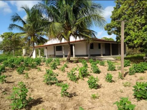 VENDO SÍTIO COM CASA EM ÁREA TRANQUILA.
