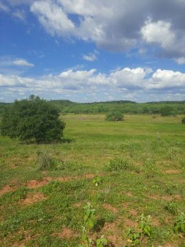 Imóvel  Rural com 27 hectares