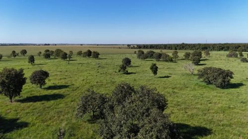 Bela área de 20 mil m² a 15 km de CG    