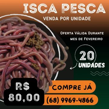 Isca pra Pesca Gigante Africana venda por unidade