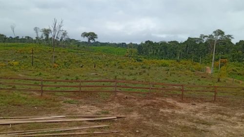 Colônia com 100 hectares 