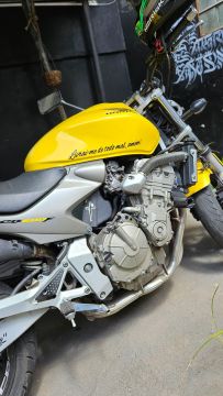 Hornet 2006