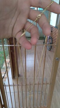 Colar de corrente fina em ouro 18k