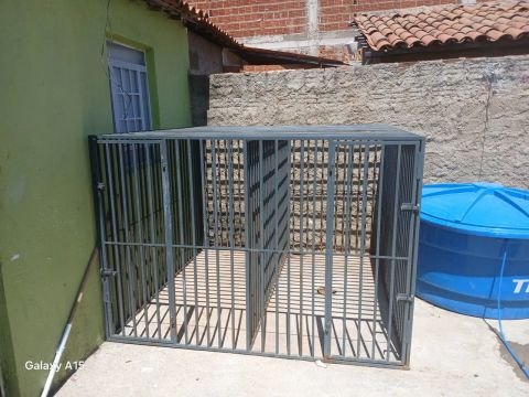 Canil tipo gaiola