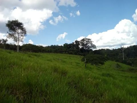 Venda Propriedade Rural em Apuí