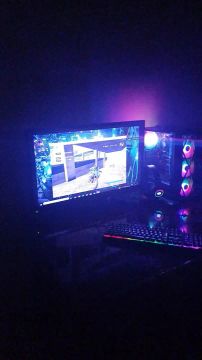 Pc gamer 