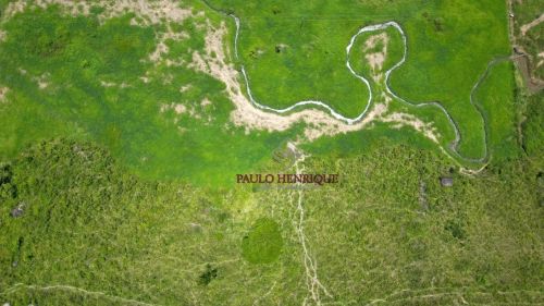 Fazenda com 32 Hectares em União dos Palmares