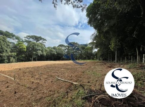TERRENO UMBARÁ - NICOLA PELLANDA