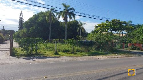 Terreno com 4.129m² em frente a Lagoa da Conceição, potencial construtivo em torno de 50% 