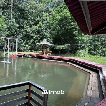 Sítio à Venda - 80 Hectares de Natureza e Conforto!