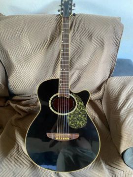 Violão Tagima aço