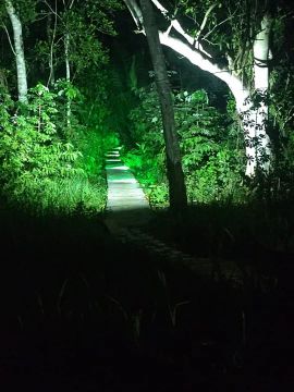 Sítio com área verde e acesso asfaltado