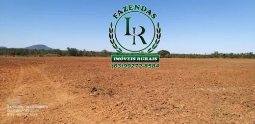 Fazenda 331 Alqueires Plantando