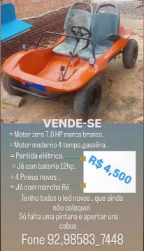 Buggy 7,0 HP -  4 tempos -  Partida Elétrica