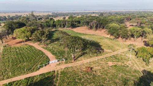 Área  de 20.000 m²  bem localizada e arborizada             