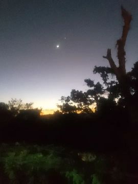 Sítio em Maragogi 