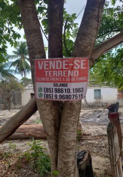 Vendo terreno 
