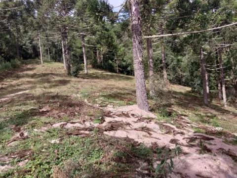 TERRENOS EM URUBICI