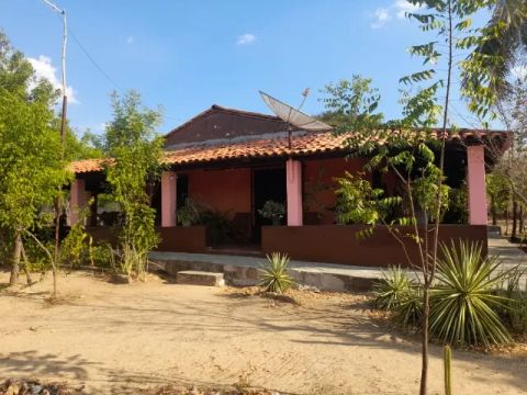 Fazendinha 70ha Multiprodutiva em Floriano Piauí