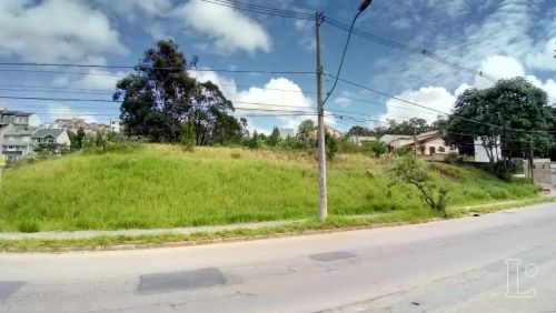Ótimo terreno com frente para a Av. Juca Batista, com aproximadamente 3.118,98m², localiza