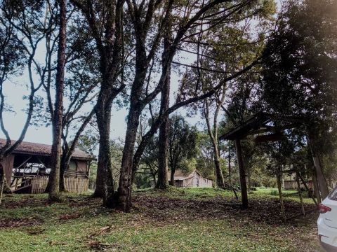 Vende-se Chácara de 7 hectares no Agudo