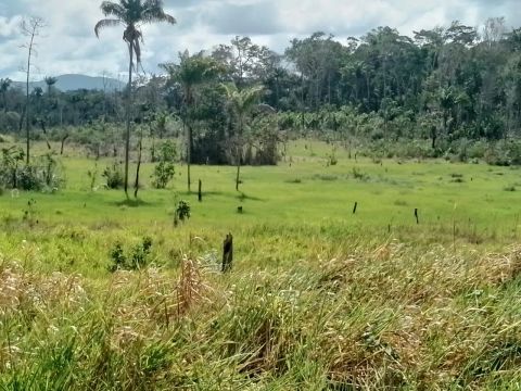 TERRENOS A VENDA! Valor negociável! 