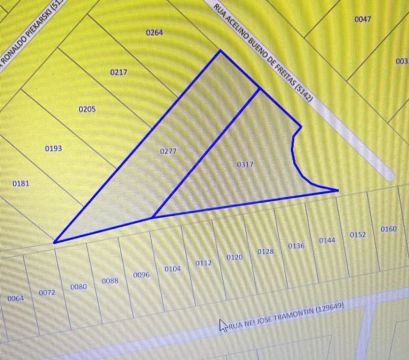 "Oportunidade de Ouro! Terreno à Venda- 1563,67m²"