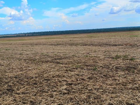 Fazenda de arrendamento, repasse, falta 4 anos de contrato, argila 28 a 30