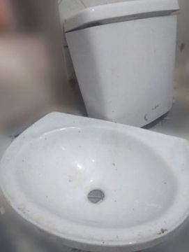 Pia e caixa pra vaso 