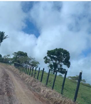 Terra Viçosa/Mar Vermelho 9.5 Tarefas 