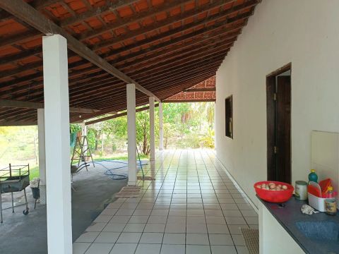 Fazenda 130ha