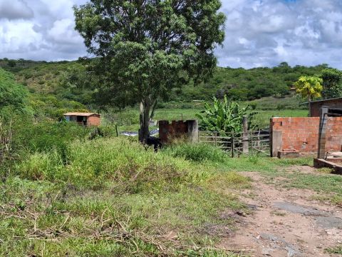Fazenda Tapera