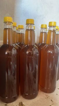 Mel de abelhas natural orgânico verdadeiro apis italiana