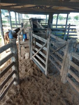 Fazenda de 2.243 hectares na região da cidade de Tesouro MT