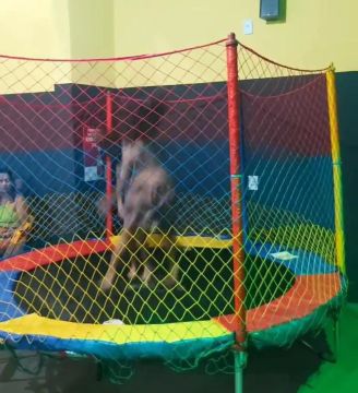 Pula Pula  Infantil com Rede de Proteção