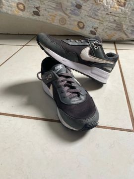 Nike Pegasus: Conforto e Desempenho em Cada Passo