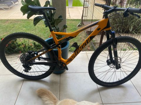 Specialized Stumpjumper Carbon L