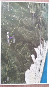 FAZENDA BRUTA EM BARREIRINHAS - 707 HECTARES