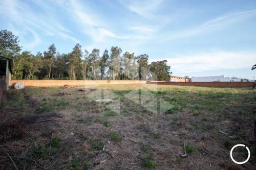 Lote/Terreno em PE DE PLATANO