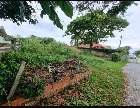 Imóvel para venda com 400 metros quadrados em Cachoeira do Bom Jesus - Florianópolis - SC