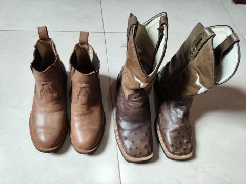 Bota e botina.