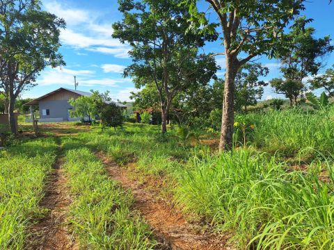 Fazendinha 35 Hectares, Escriturada/Aceita imóvel e veículo...