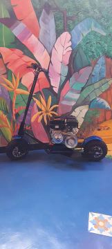 Walkie machine 208cc