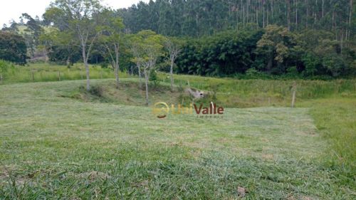 Terreno à venda, 3166 m² por R$ 103.500,00 - Bairrinha Varginha - Natividade da Serra/SP